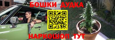 индика Балаково