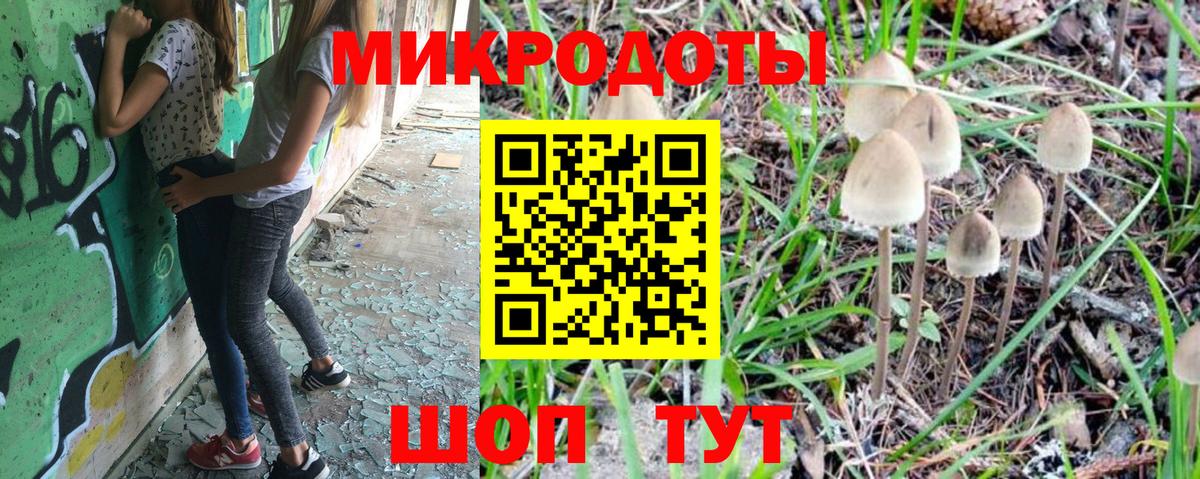 Псилоцибиновые грибы мухоморы Губкинский