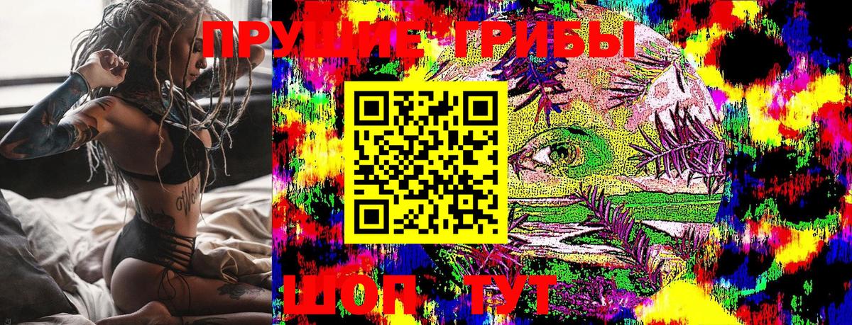 Губкинский  Псилоцибиновые грибы MAGIC MUSHROOMS  Вход с VPN 