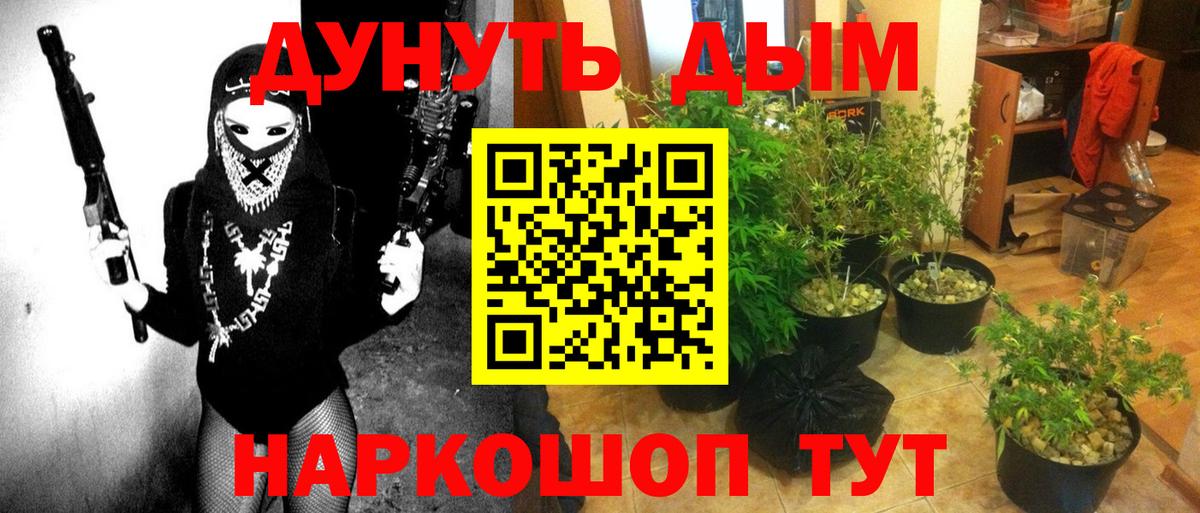 Шишки марихуана White Widow Губкинский